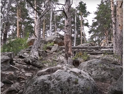 2025г. Смолькино "Каменные лабиринты Рачейских Альп"