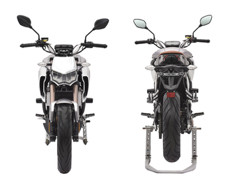 Мотоцикл Regulmoto ALIEN MONSTER 300 2020г. NEW доставка по РФ и СНГ