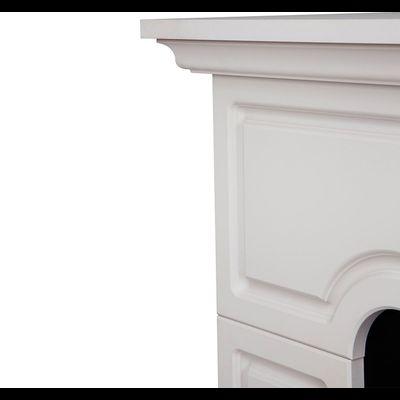 Электрокамин Theodor BG-WS с очагом Epsilon 33