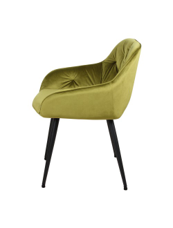 Кресло «Регент», WX-255 (оливковый)