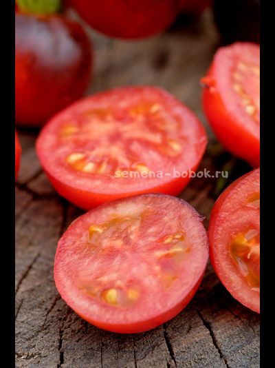 Томат Гондвана Тени, 10 шт