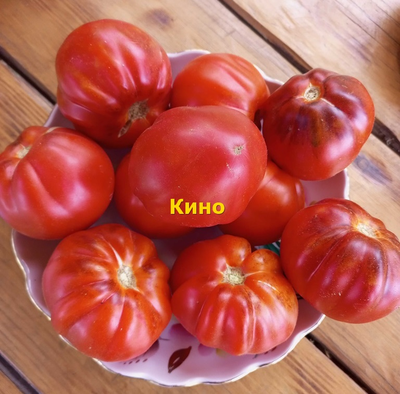 Томат Кино