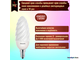 Philips Twisted Candle BW 5w 827 E14