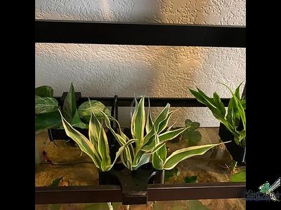 SwetAqua APH-M - Крепление для надводных растений