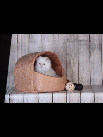 ДОМ СКАФАНДР