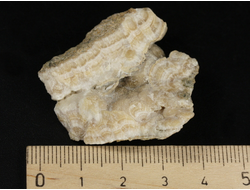 Арагонит, почковидные агрегаты, полировка, Россия, КЧР, Урупский район (37*36*11 мм, 16 г) №37737