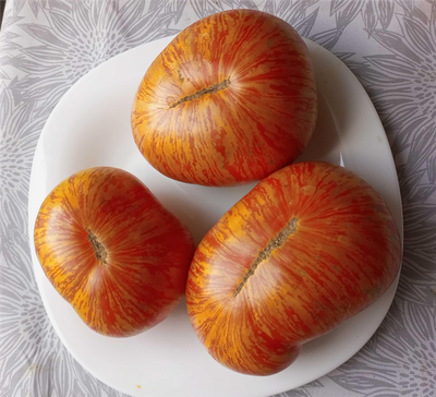 Томат Двойной восторг Дона (Don`s Double Delight), США