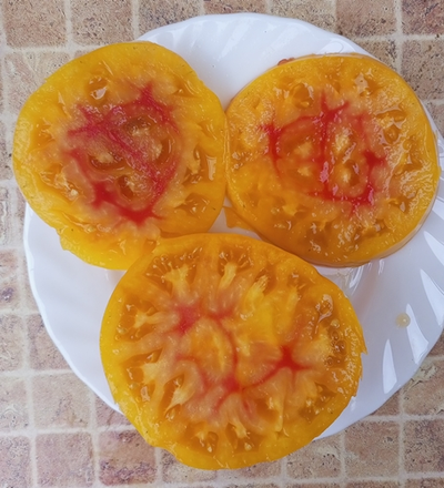 Томат Мэри Робинсон немецкий (Mary Pobinson's German)