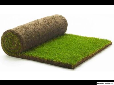 Рулонный газон Промышленный