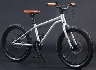 Велосипед детский TT133/ 1ск 20" серебряный рама 12"