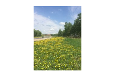Рублево медвенское тула карта