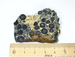 Магнетит, сферолиты, Россия, Иркутская обл. (47*36*12 мм, 42 г) №26593