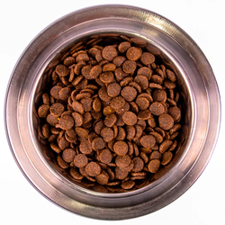 Monge Dog Speciality Puppy&Junior (Монж) для щенков всех пород, лосось с рисом 2,5 кг