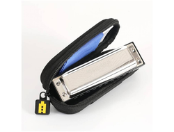 EASTTOP PRO20 (FRISSON) C диатоническая губная гармошка, C