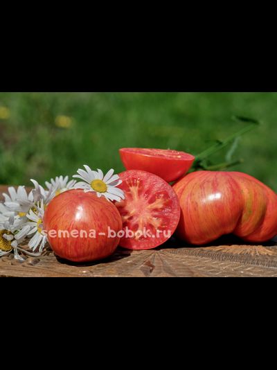 Томат Vintage Wine (Винтажное Вино), 10 шт