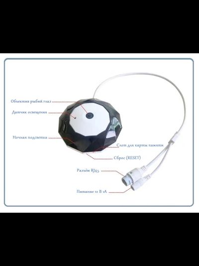 Потолочная - настенная WiFi/LAN видеокамера панорамная с DVR, Full HD 3Mp (IP Pro (VR cam. EseeCloud))