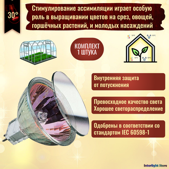 Paulmann Rose FLOOD 20w 12v 30° GU4