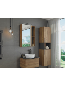 Зеркало-шкаф Штутгарт-60 дуб темно-коричневый 600х800