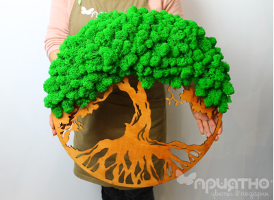 ЖИВАЯ ЭКО-КАРТИНА 1022