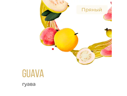 ELEMENT (ОГОНЬ) 25 г. - GUAVA (ГУАВА)