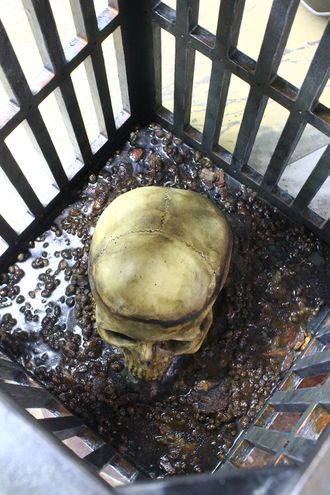Cage with a skull