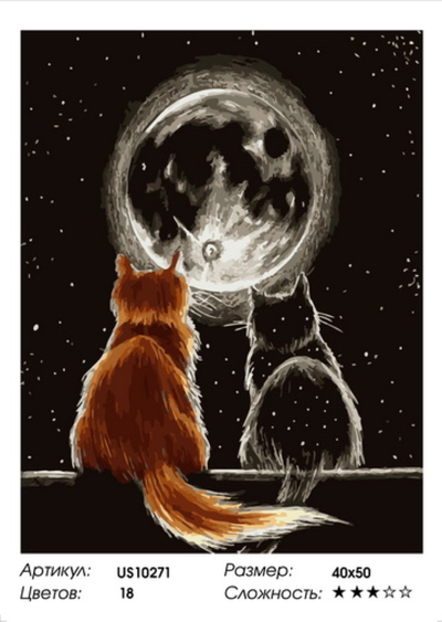 Картина по номерам 40х50 на подрамнике US10271