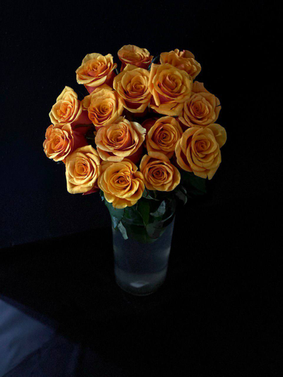 Роза Россия 50 см. 15 шт