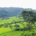 Medan Travel Packages