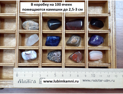 Коробка 100 ячеек, для коллекции камней, цвет "Палисандр" (32*23*3,5 см, 1100 г) №23002