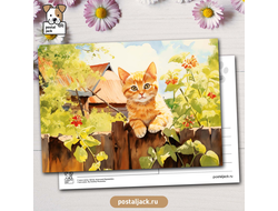 У меня лапки