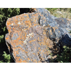 Ландшафтный валун Хвойничек