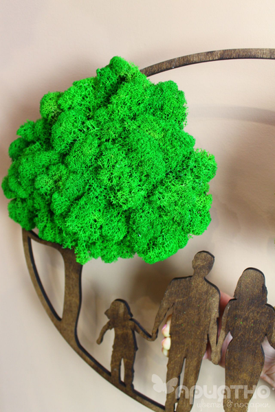 ЖИВАЯ ЭКО-КАРТИНА 1010