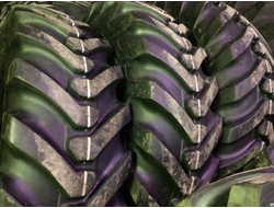 Шина 10-16.5 12PR IND80 Ozka