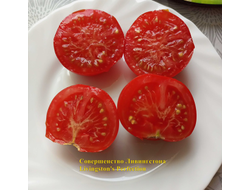 Томат Совершенство Ливингстона (Livingston's Perfection)