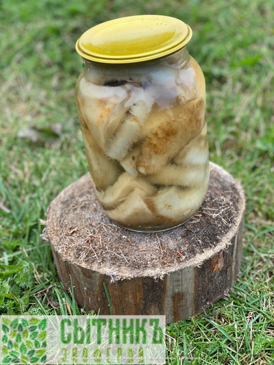 Грузди соленые купить