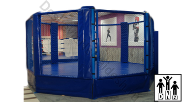 октагон фото