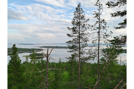 Кандалакшский залив. Терский берег