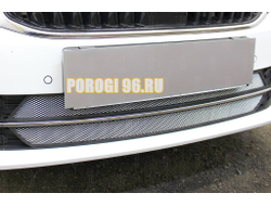 Защита радиатора Skoda Oktavia А7 2017- chrome