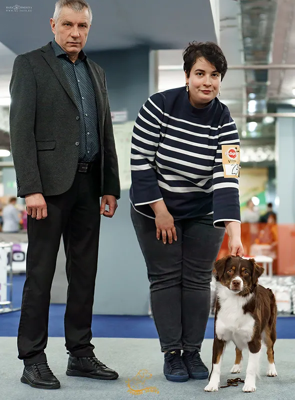 Юта - Юный Чемпион России и Юный Чемпион РКФ