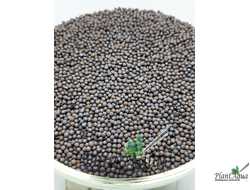 Грунт "Голландский" для аквариумных растений, 3 л