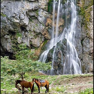 Конные прогулки (река Бзыбь)