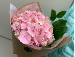Букет "Нежная гортензия"