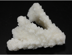 Коралл белый, коллекционный образец, Китай (52*40*33 мм, 23 г) №37698