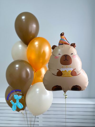 Сет № 35 "Капибара"