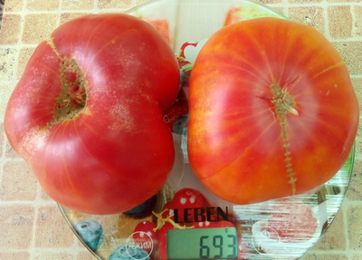 Томат Немецкий полосатый (Striped German)