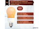 Philips Terracotta A65 12w 827 E27