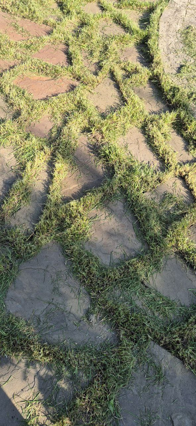 Степы из песчаника для пошаговой дорожки