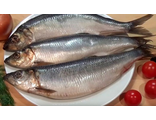 Сельдь слабосоленая 2 сорт