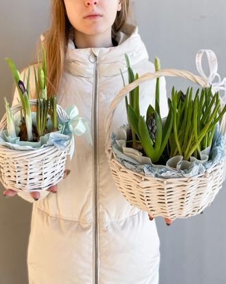 Spring baskets