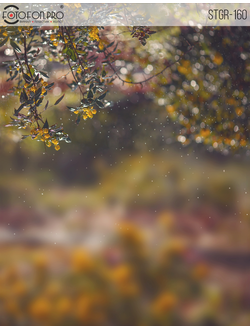 Фотофон на холсте «Летняя безмятежность»